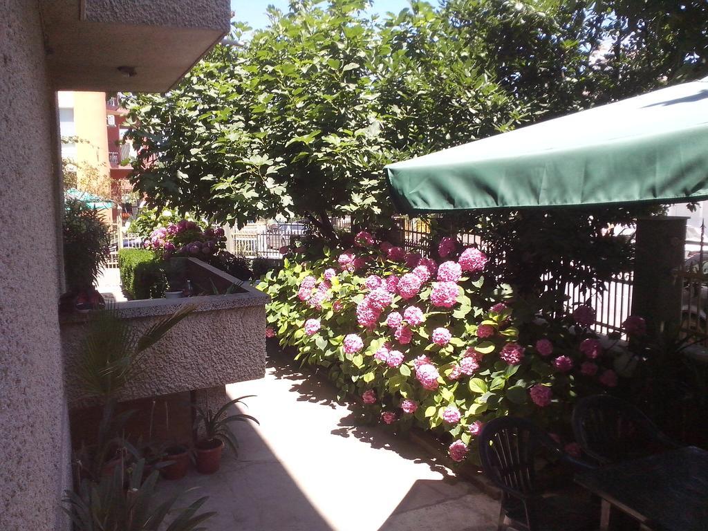 Guest House Krasi Cernomoreț Exterior foto